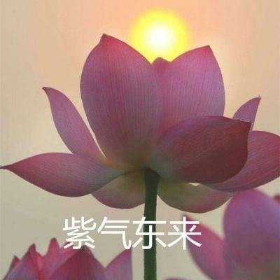 果盘乱煮江湖变态版下载